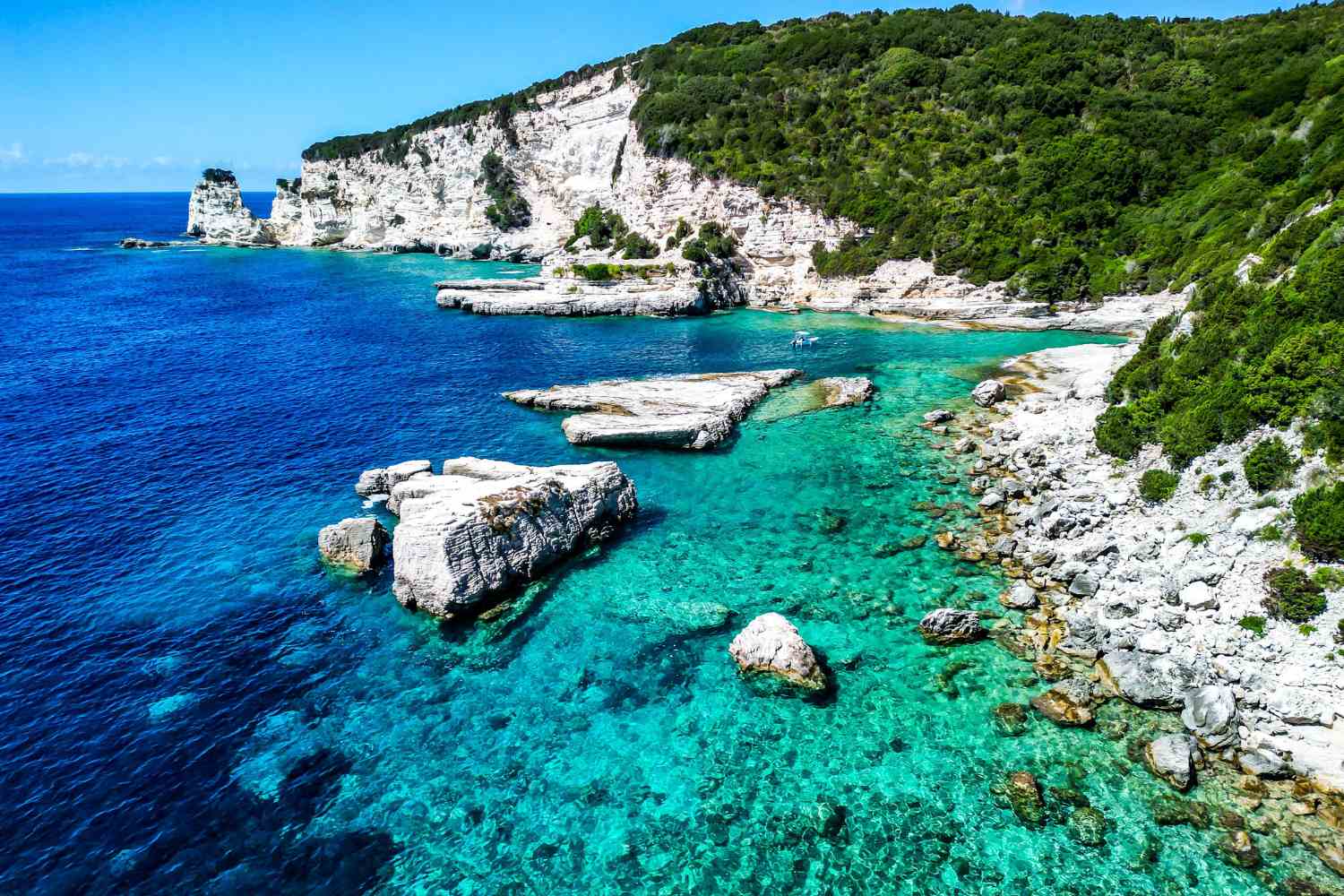 Antipaxos