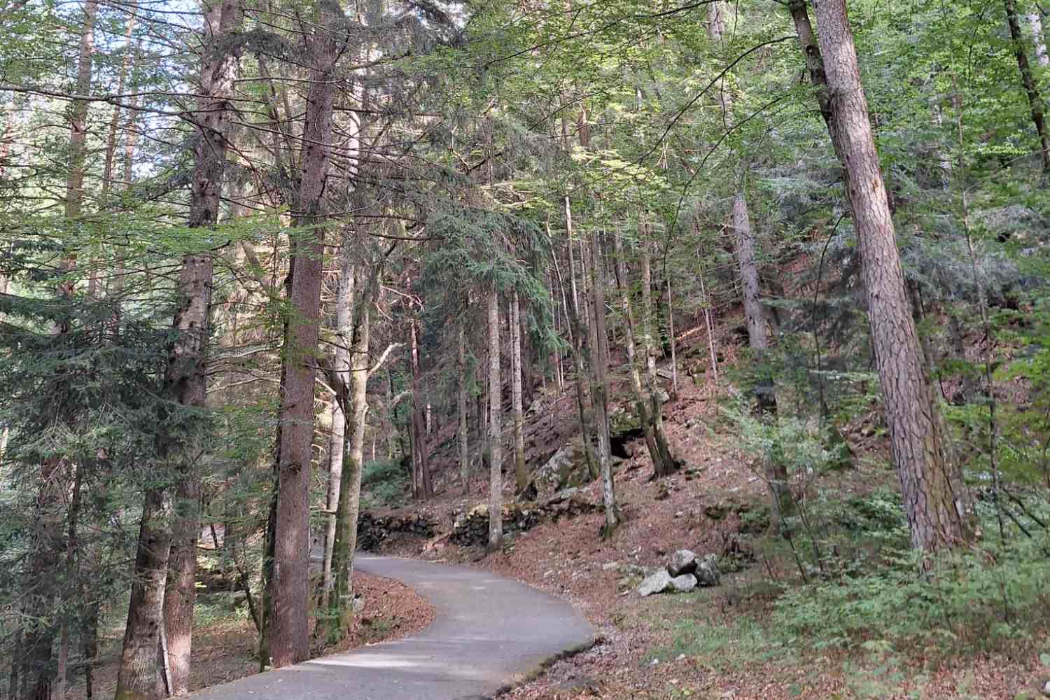 In bici in Val Vigezzo lungo la ciclabile Druogno–Re tra pinete, borghi storici, cascate e il Santuario di Re. 12 km di natura, storia e panorami a due passi dalla Svizzera