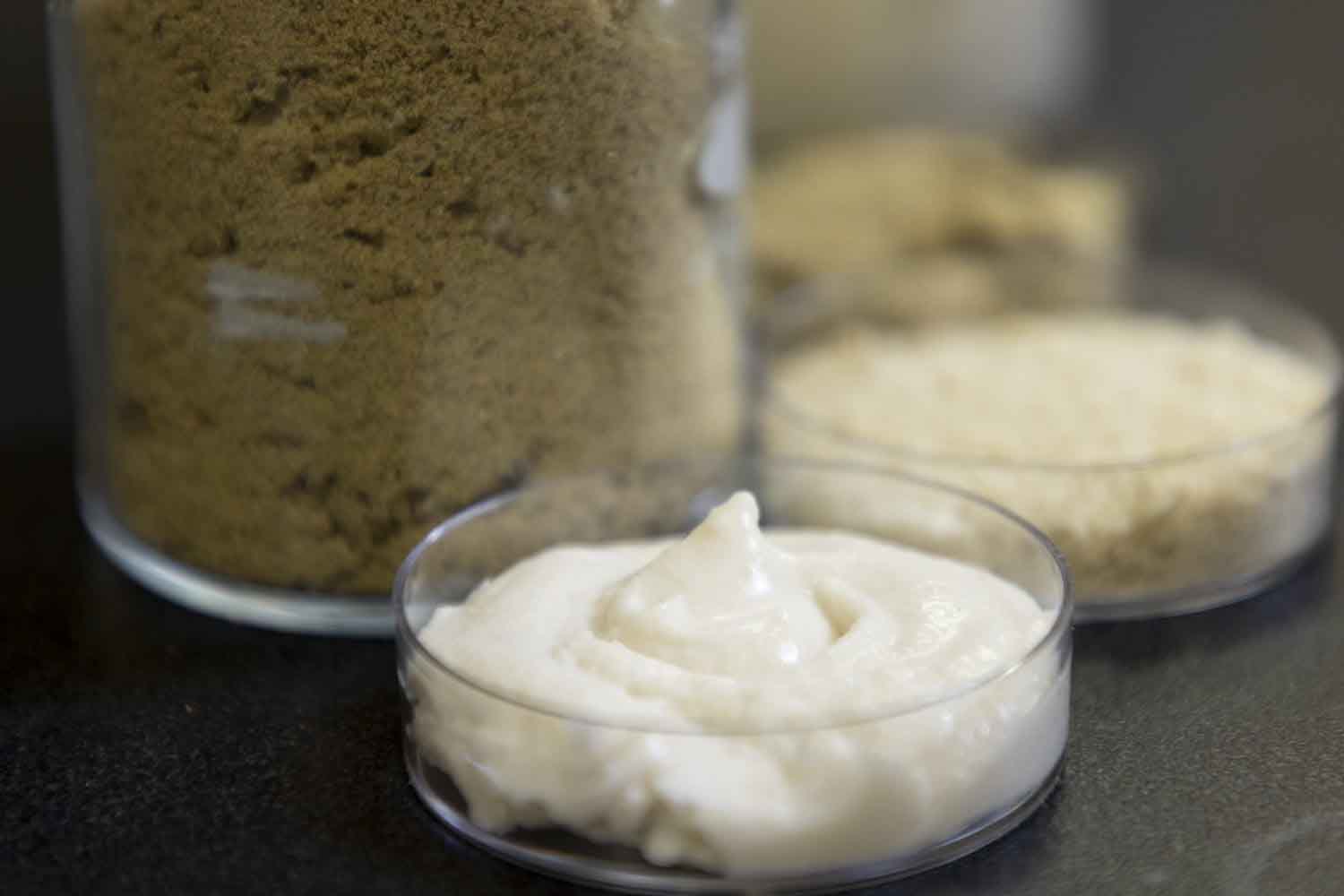 formaggio di riso