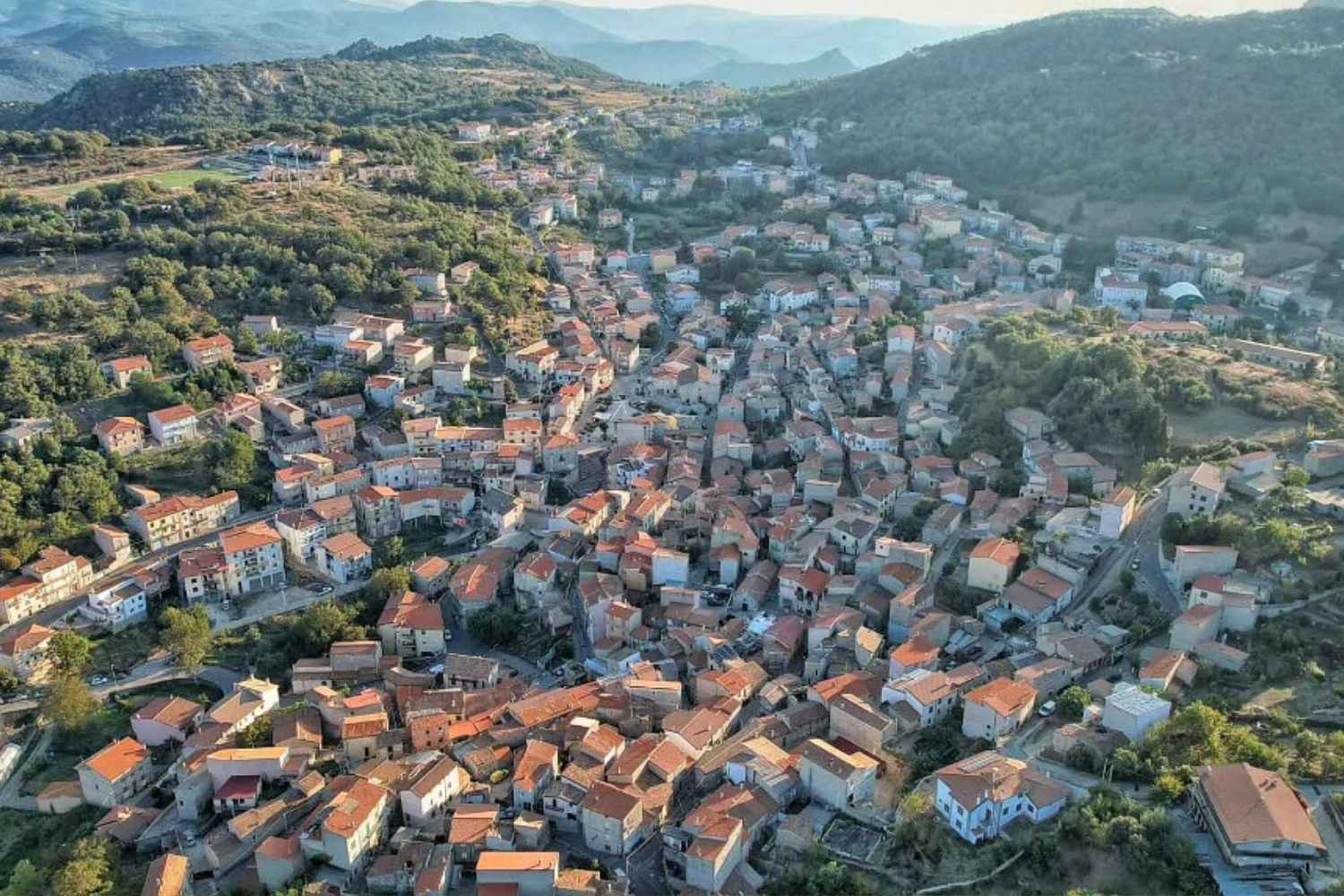 ollolai