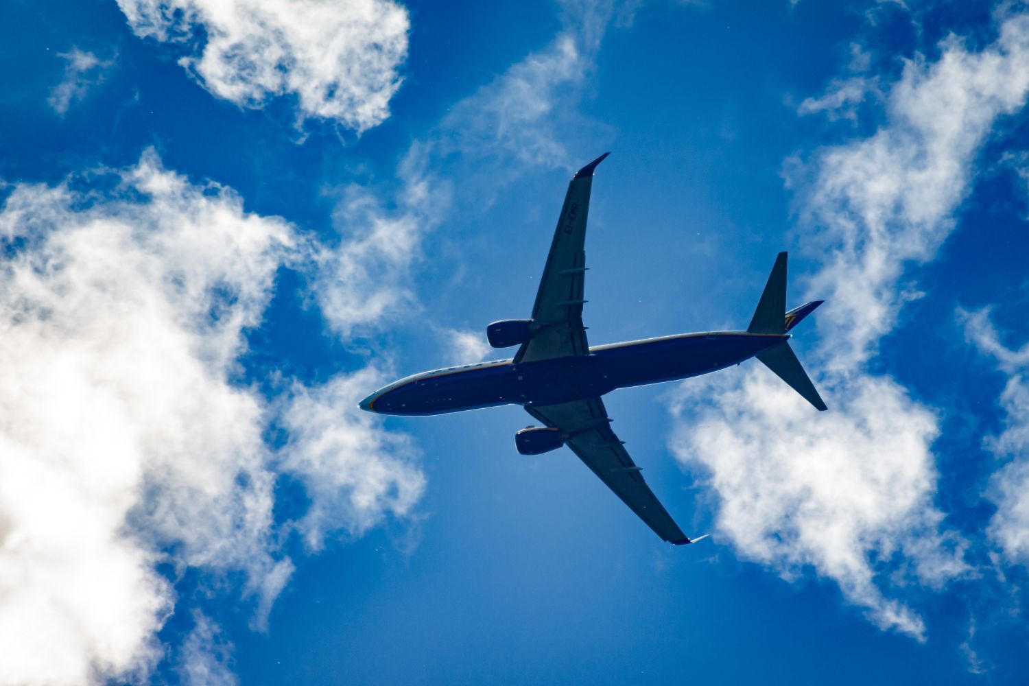 aereo