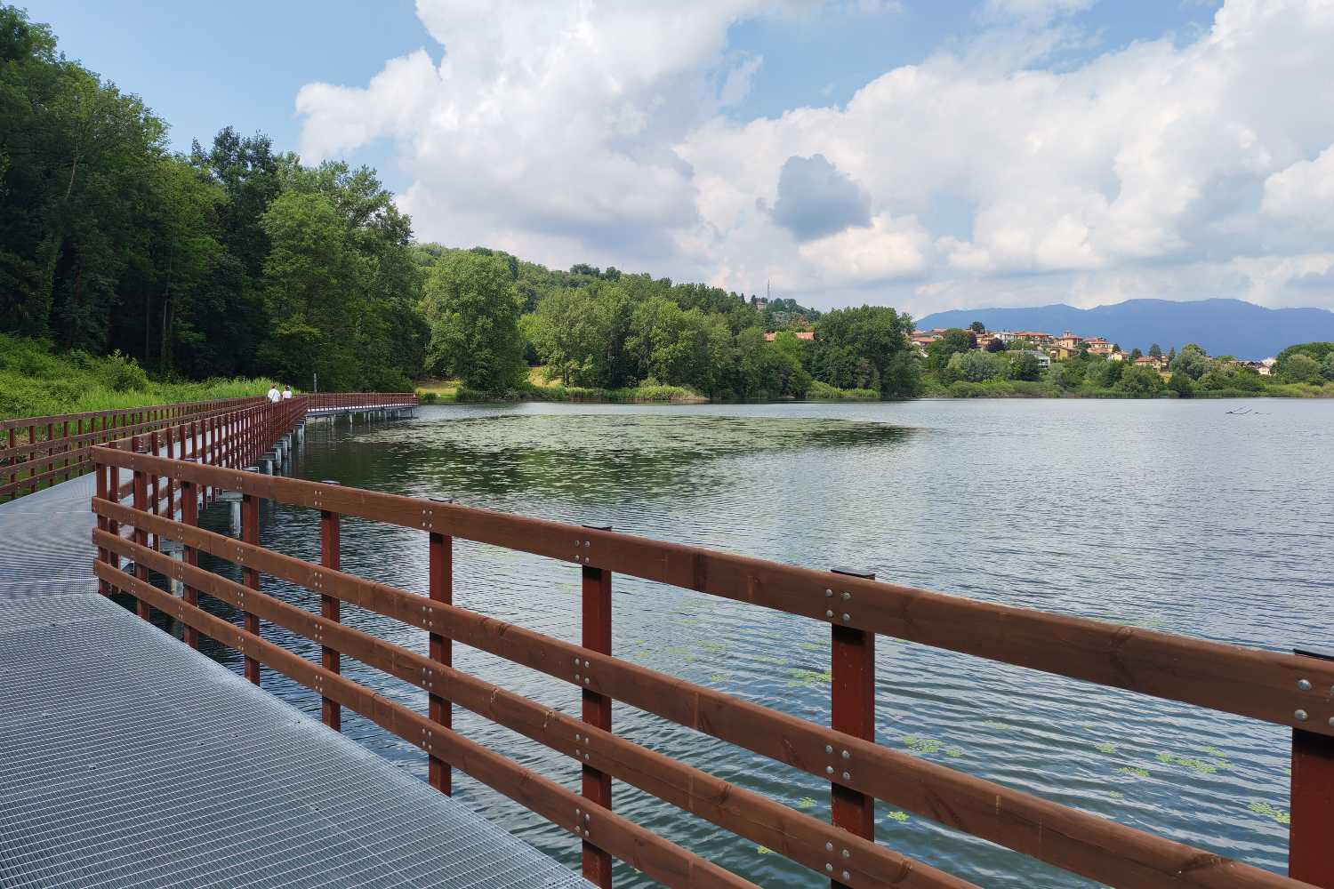 Ho percorso in bici la splendida pista ciclopedonabile sul Lago di Comabbio immersa nei boschi tra una passerella sospesa sull’acqua e una Panchina Gigante  