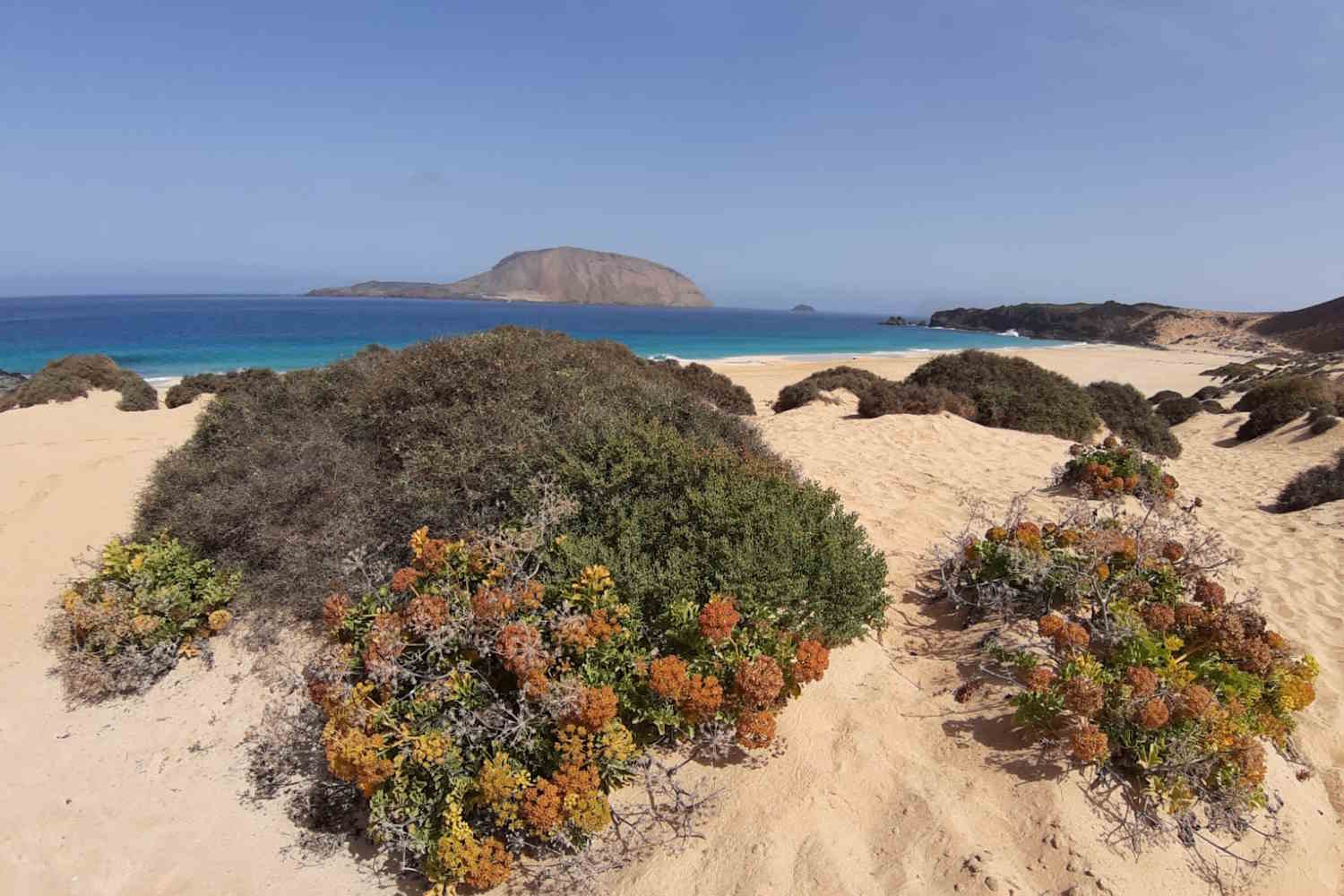 la graciosa