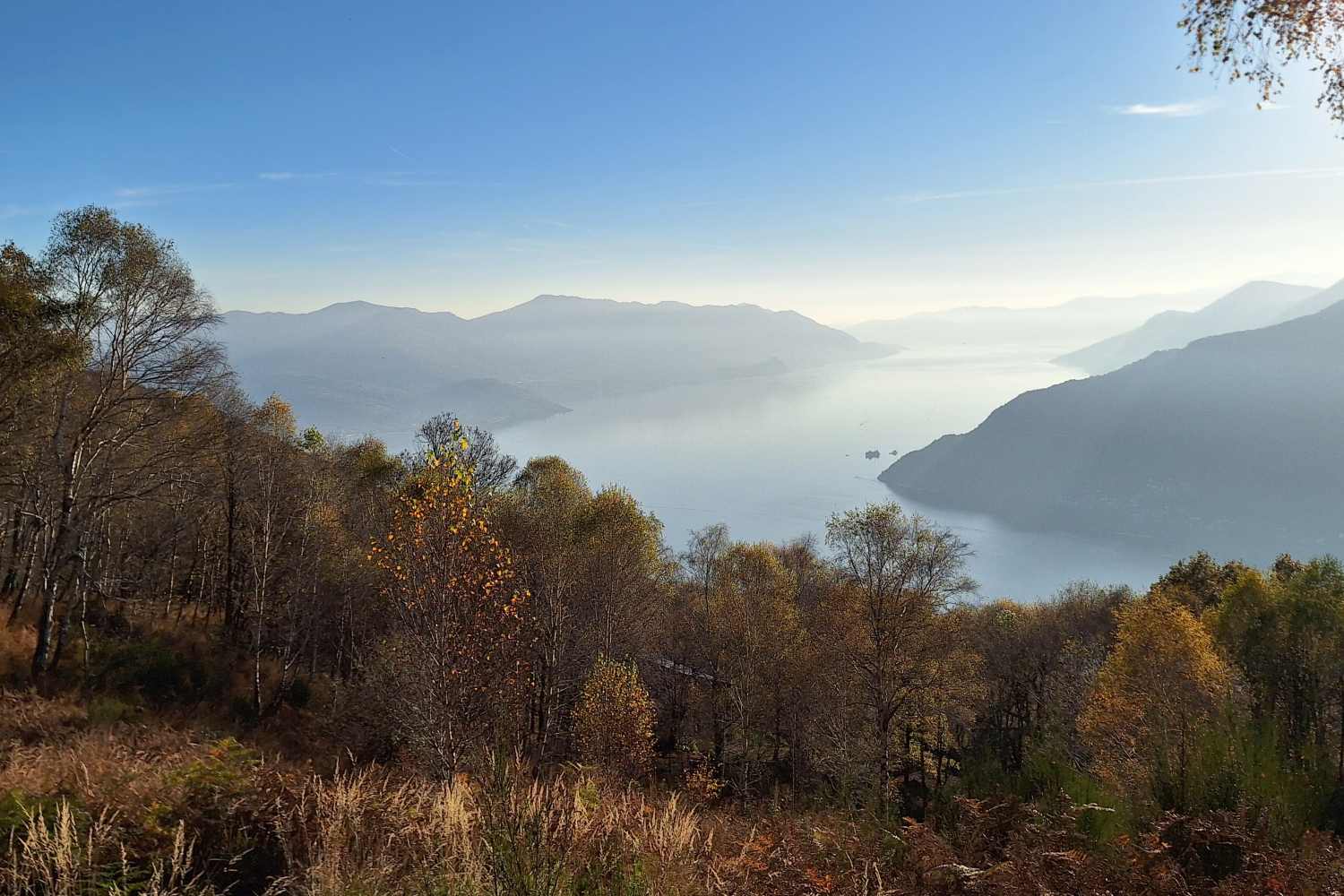 Il Lago Delio a Maccagno è il posticino ideale per scappare dal grande caldo: un trekking tra natura incontaminata, leggende di borghi sommersi e viste mozzafiato sul Lago Maggiore