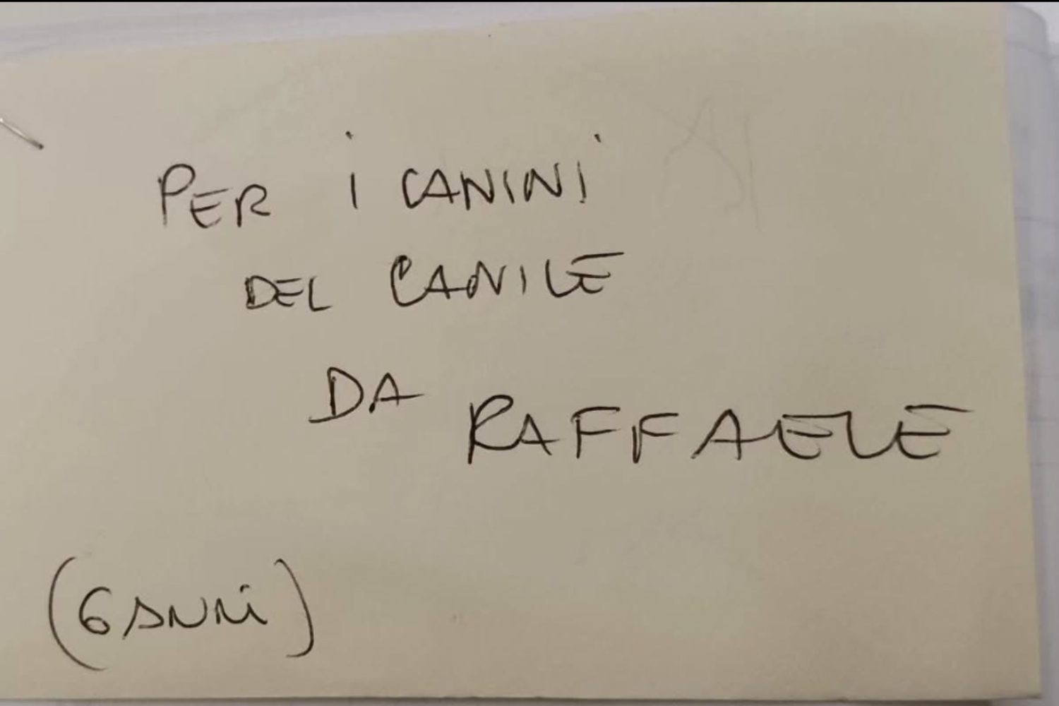 Tromba d'aria canile