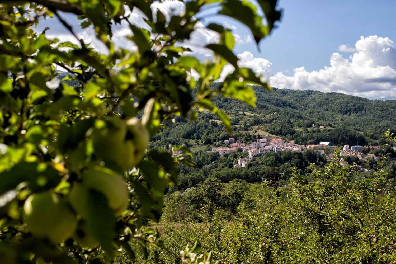 castel del giudice