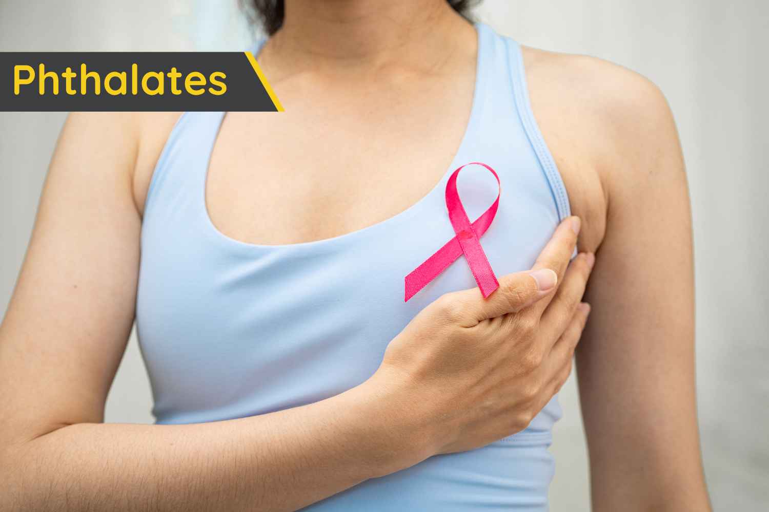 ftalati cancro al seno