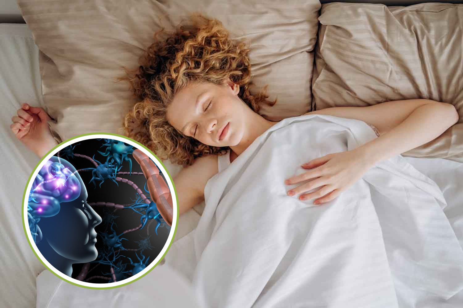 sonno cervello