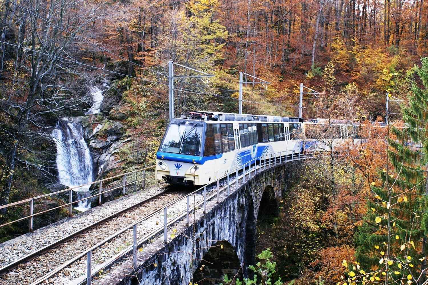 treno foliage