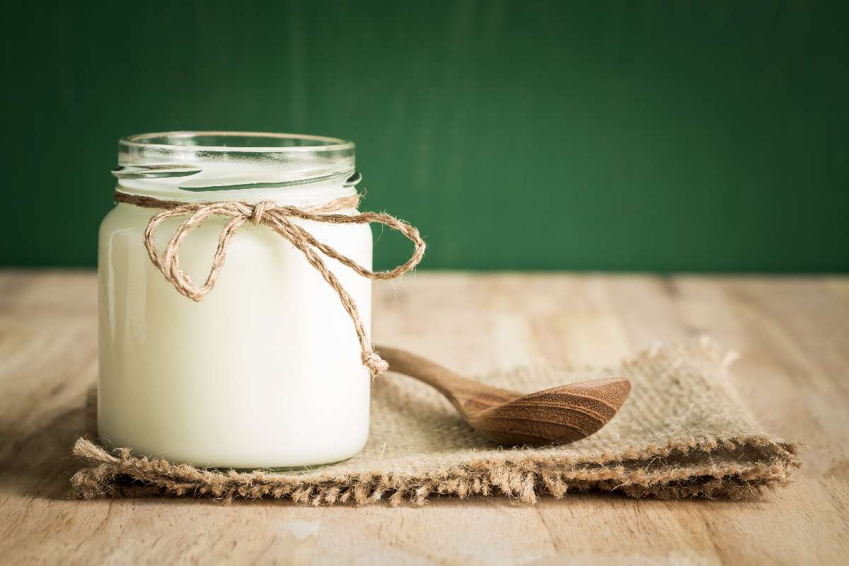 Yogurt greco